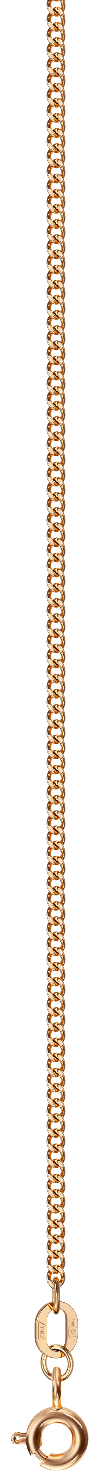 ���� �� ������